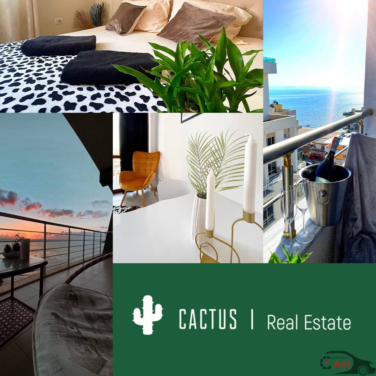 Real estate agency «CACTUS | Real Estate»